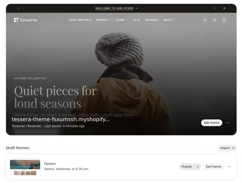 Online Store → Themes in the Shopify admin, showing the current theme with its Edit theme button and the theme library below