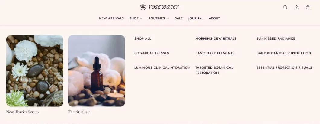 A mega menu with two promotion images on the left and three columns of links