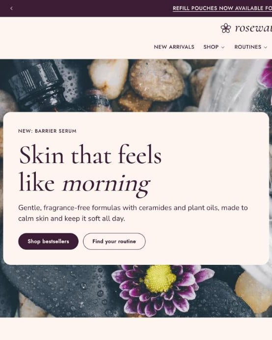Rosewater preset demo store home page